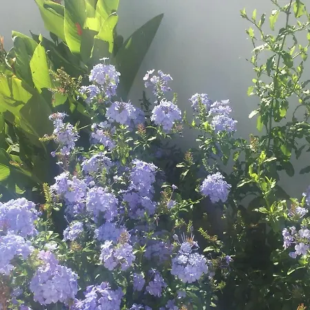 Ferienhaus Escapade A - St Georges - Maison Plain Pied - 3 - 7 Couchages Chaucre